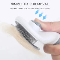 Self-Cleaning Pet Hair Remover Brush